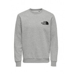 Ανδρικο Φούτερ λαιμοκοψη the north face γκρι